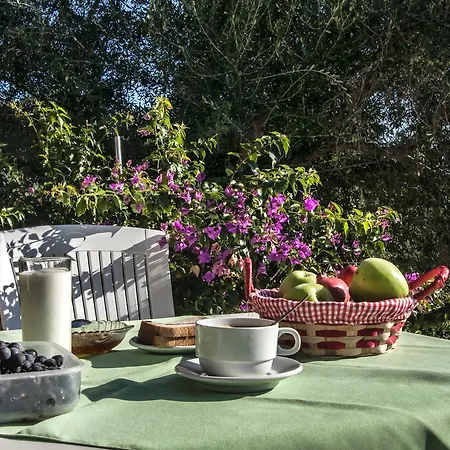 Apartamento Fouxia And *