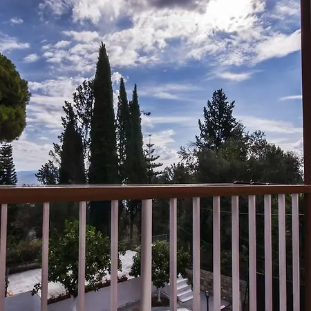 Fouxia And Lejlighed *