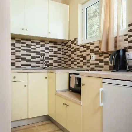 Fouxia And Lejlighed *