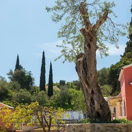 Fouxia And Lejlighed Perama (Corfu)